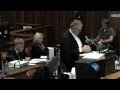 Pistorius Trial: Roux exposes gaps in Fresco's statement