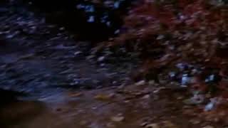 Hocus Pocus (1993) Trailer And TV Spots