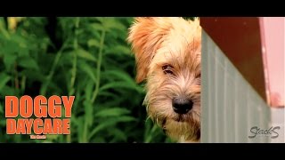 Doggy Daycare The Movie - Official Trailer #1 (2015) Movie HD