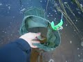 бортовая рыбалка на днепре бортовая рыбалка на днепре