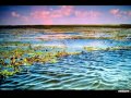 VIDEOCLIP In Delta Dunarii - 5 - Cu barca pe Canalul Barbosu spre Golful Musura