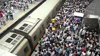 Conference of the Birds - trailer