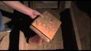 THE SLAUGHTER TRAILER