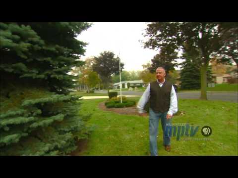 100 Years of the Milwaukee Christmas Tree | John McGivern Looks Over the 2013 Tree