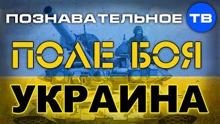 Поле боя - Украина (Познавательное ТВ, Андрей Фурсов)