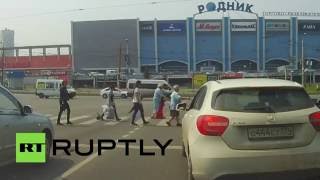 Утиные истории: Прохожие в Челябинске перекрыли дорогу, чтобы пропустить утку с утятами
