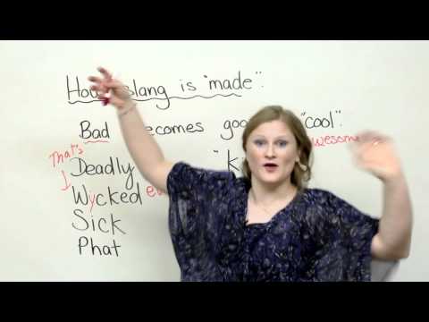 Basic English Grammar – Do, Does, Did, Don't, Doesn't, Didn't · engVid