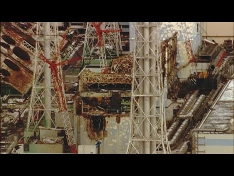 Inside (Fukushima Leak) Beyond the 'No Go' Zone  1/9/14
