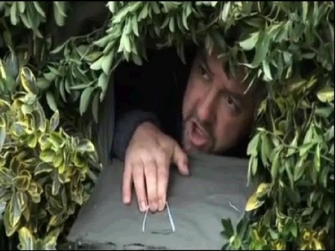 Big Gay Following - Balls Of Big Gay Following - Balls Of