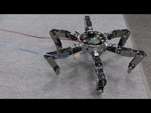 Asterisk - Omni-directional Insect Robot Picks Up Prey #DigInfo