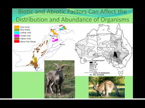 Introduction to Ecology and Biosphere.flv