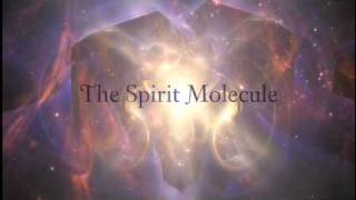DMT: The Spirit Molecule Teaser