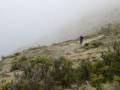 
Cortadito en Rada Tilly,