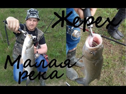 рыбалка с акельевым рыбалка с акельевым