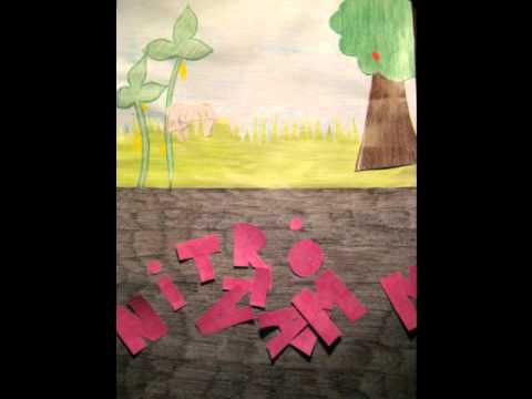 ESS Animation - The Nitrogen Cycle