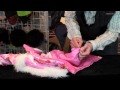 How To Make Your Patagonia Kids' Clothing Last Longer: Patagonia Grow Fit 