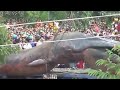 Picture Heboh Binatang Aneh Makhluk Alien Di Vietnam