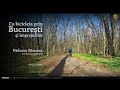 VIDEOCLIP Cu bicicleta prin Bucuresti: Padurea Baneasa / misiunea untisor [VIDEO]