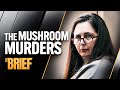 Inside the trial of mushroom killer Erin Patterson  The Brief