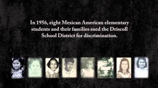 Stolen Education Trailer