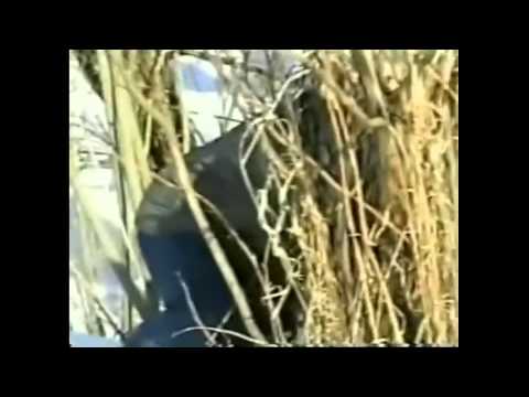 Новости спорт на канале россия 2