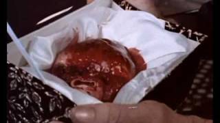 The Theatre of Blood Trailer 1973