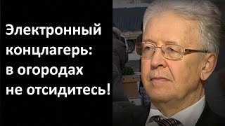 Валентин Катасонов. Электронный концлагерь: в огородах не отсидитесь!