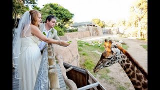 В столичном зоопарке пройдет первая официальная свадьба