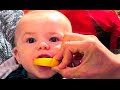 BABY REACTS TO LEMON!