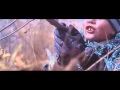Боудя - В память (2014) Боудя - В память (2014)