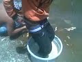 Image Candoleng Taly Altra
