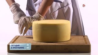 Сыр Российский. Естественный отбор