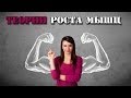 Денис Борисов - Теория роста мышц Денис Борисов - Теория роста мышц