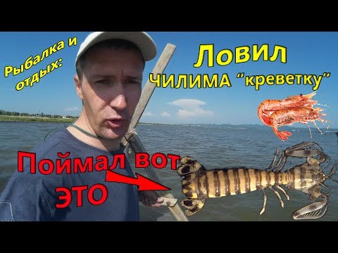 Как и чем ловить чилима Как и чем ловить чилима
