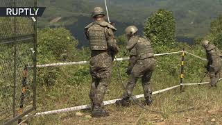 Военные КНДР и Южной Кореи проводят разминирование демилитаризованной зоны