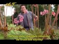 Picture Noven Ginting Dil Co Dil Lagu Karo Bollywood