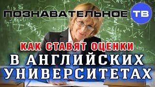 Как ставят оценки в английских университетах (Василий Колокольцов)