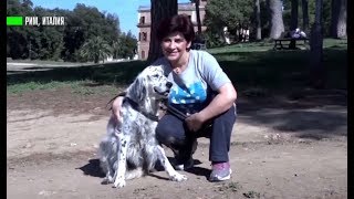 Итальянка добилась оплаты больничного по уходу за собакой
