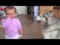 Les enfants jouant avec et les différents animaux drôles Les enfants jouant avec et les différents animaux drôles
