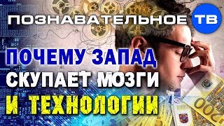 Почему Запад скупает мозги и технологии? (Денис Соколов)