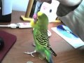 m__NGADMw40