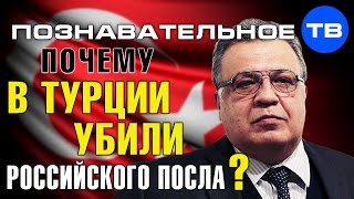 Почему в Турции убили российского посла? (Артём Войтенков)