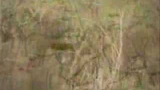 Africa 2006 - In the footsteps of Palin - Trailer