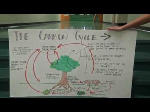 SBA Enviro Class 2009 - Carbon Cycle Educational Film
