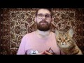 Фрагмент с начала видео Как лечиться от простуды по-научному? Фрагмент с начала видео Как лечиться от простуды по-научному?