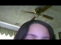 Photo Americangirl123lala S Webcam Video Sex 14 Jan 2011 10 16 35 Pst