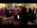 Petrovice u Karviné: Adventní koncert