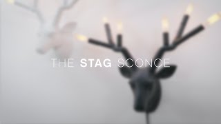 Stag video