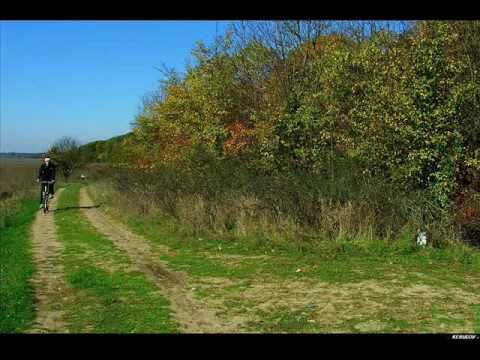 VIDEOCLIP Traseu MTB Padurea Caldarusani, 30 km pe biciclete