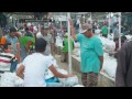 Photo Pasar Pusat Ikan Hias Di Parung Ims